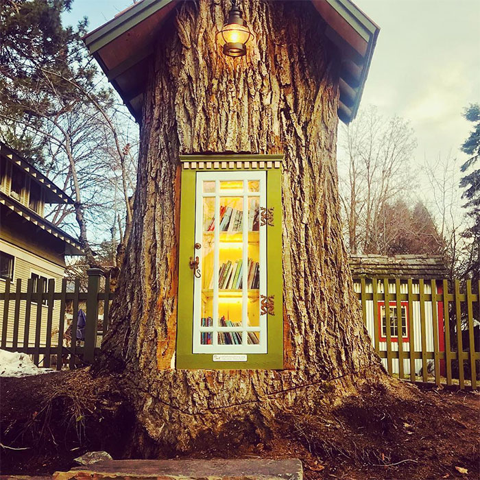 Woman Transformed A 110-Year-Old Dead Tree Into A Free Little Library For The Neighborhood