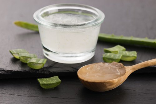 Aloe vera Aloe vera