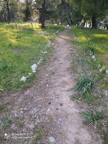 «Στον δρόμο της Αγάπης στο Μπίστι»….