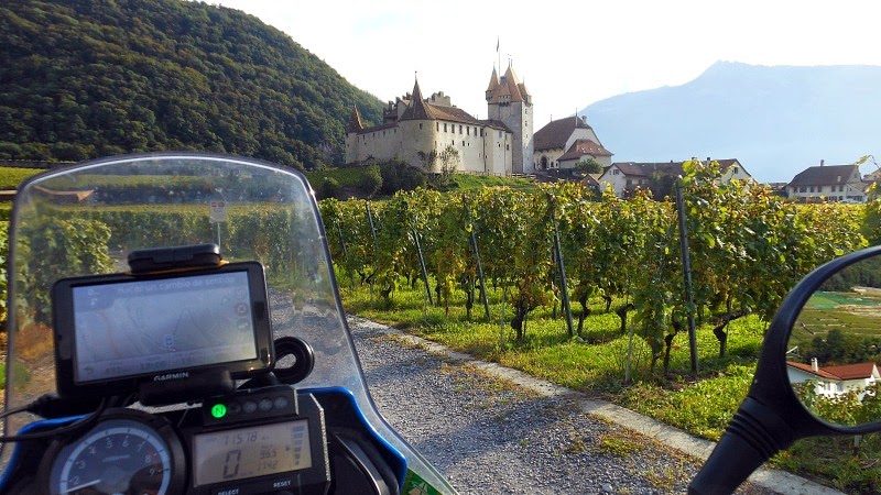 GATHOSUIZA2_104.JPG