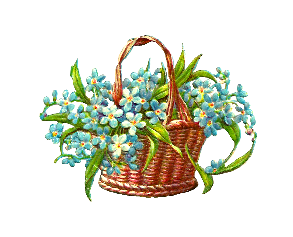 flower basket clipart - photo #4