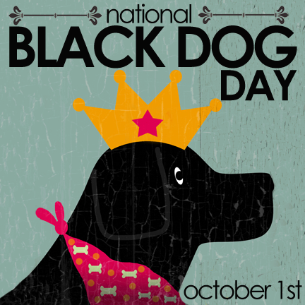national black day 2017 talking dogs at for of a rosie is barking about national black day national black day 2017 talking dogs at for of a rosie is barking about national black day