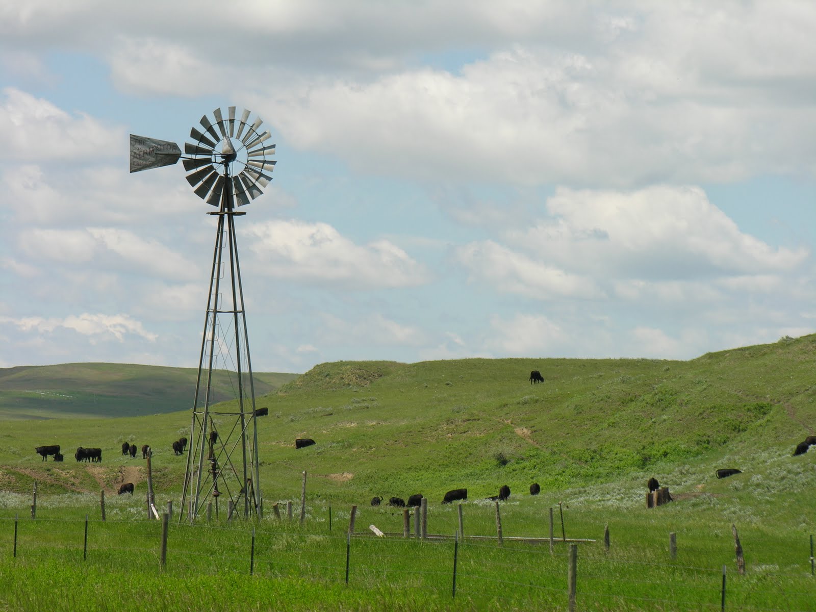Cal & Rachel Litwiller's Adventures Glendive, MT to Baker, MT