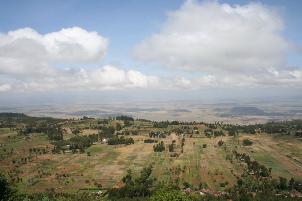 The River Cottage Diaries And now, the end is near......or is it?