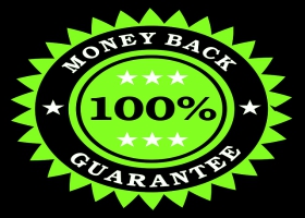 Money-back guarantee seal. Money-back guarantee seal.