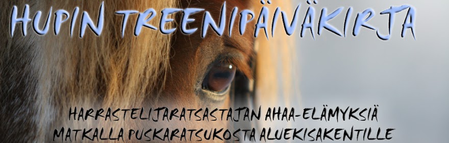 Hupin treenipäiväkirja