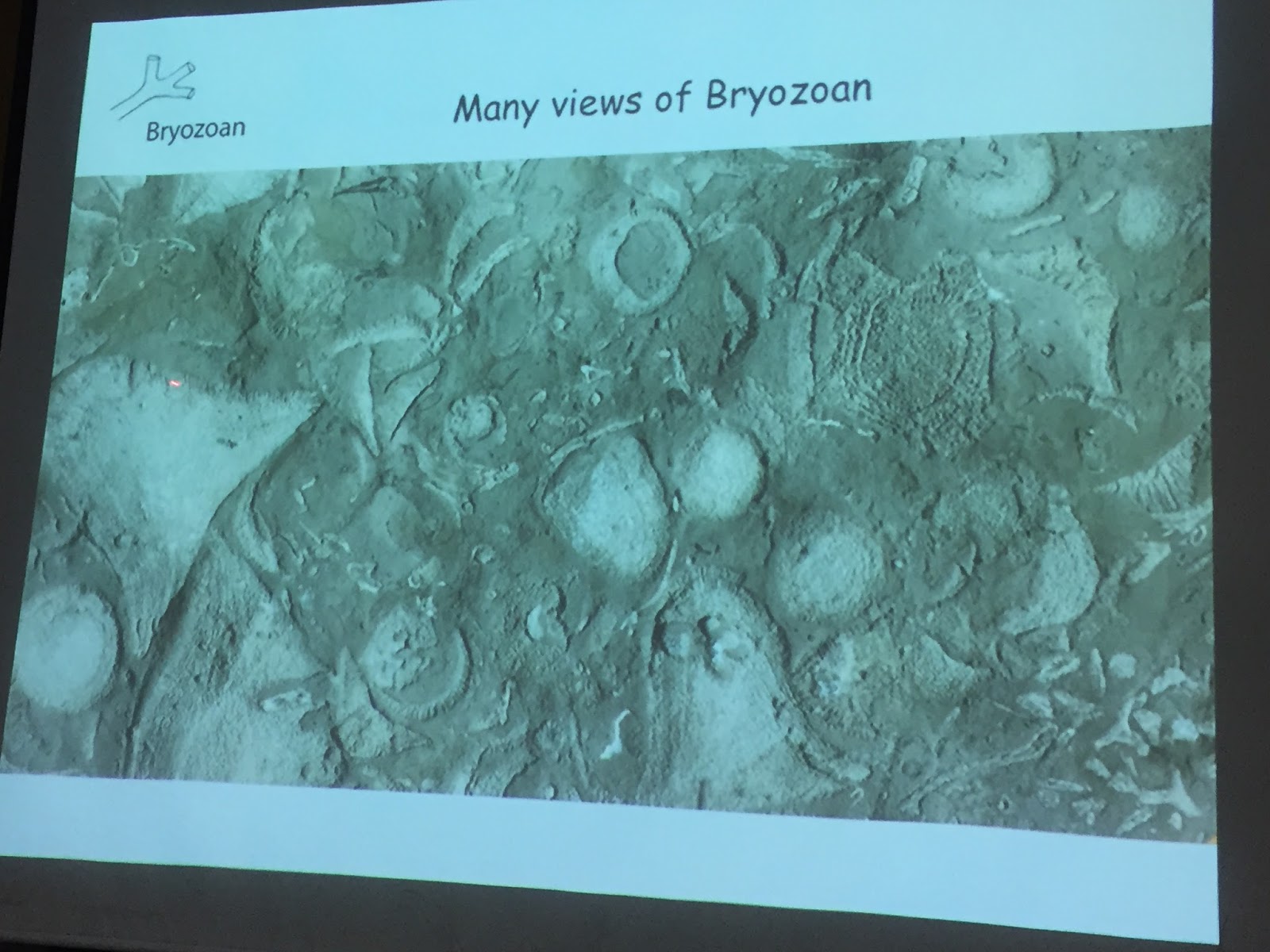 South Hero Historical Society 2017