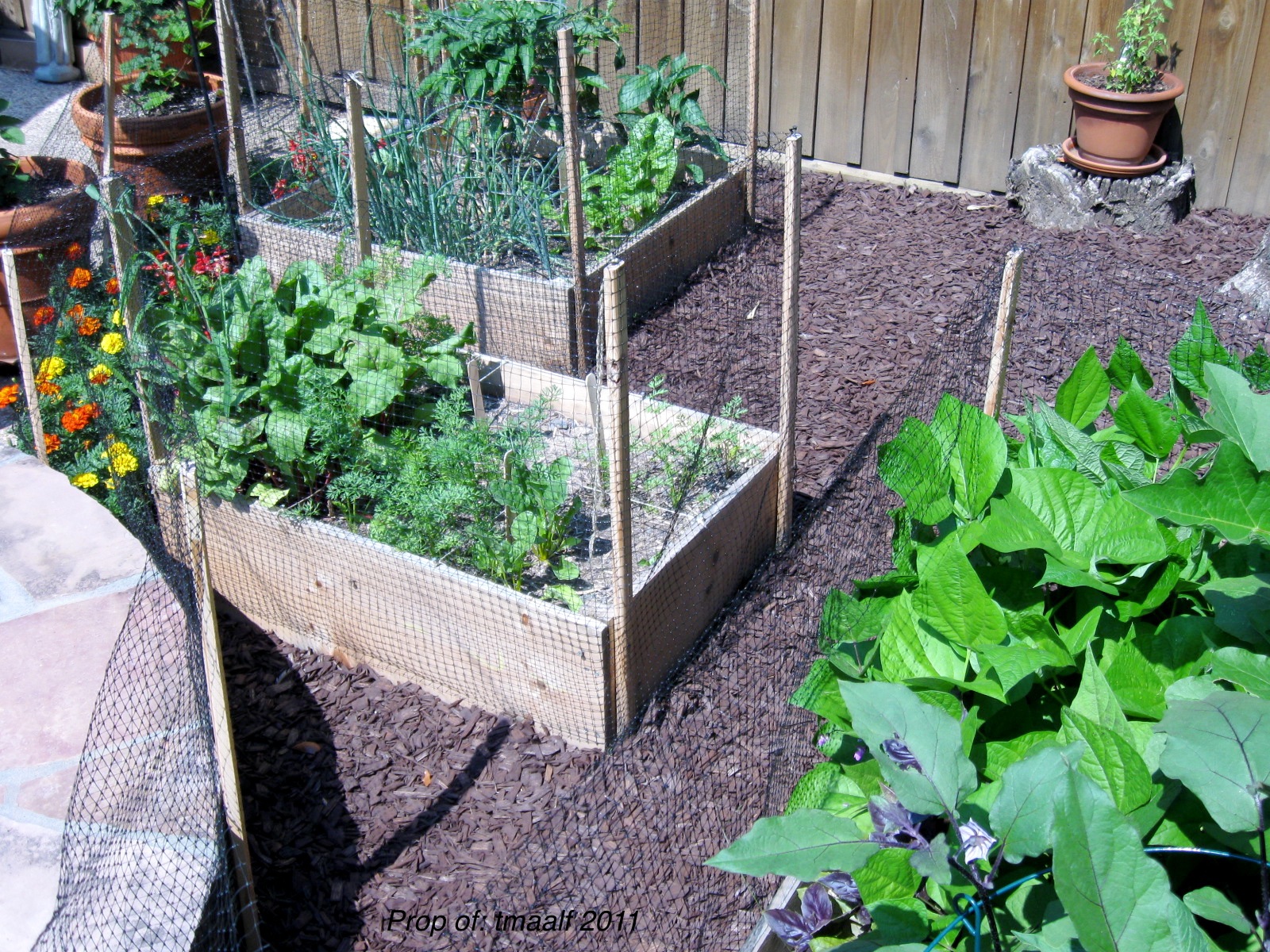 How Much Space To Put Between Raised Garden Beds