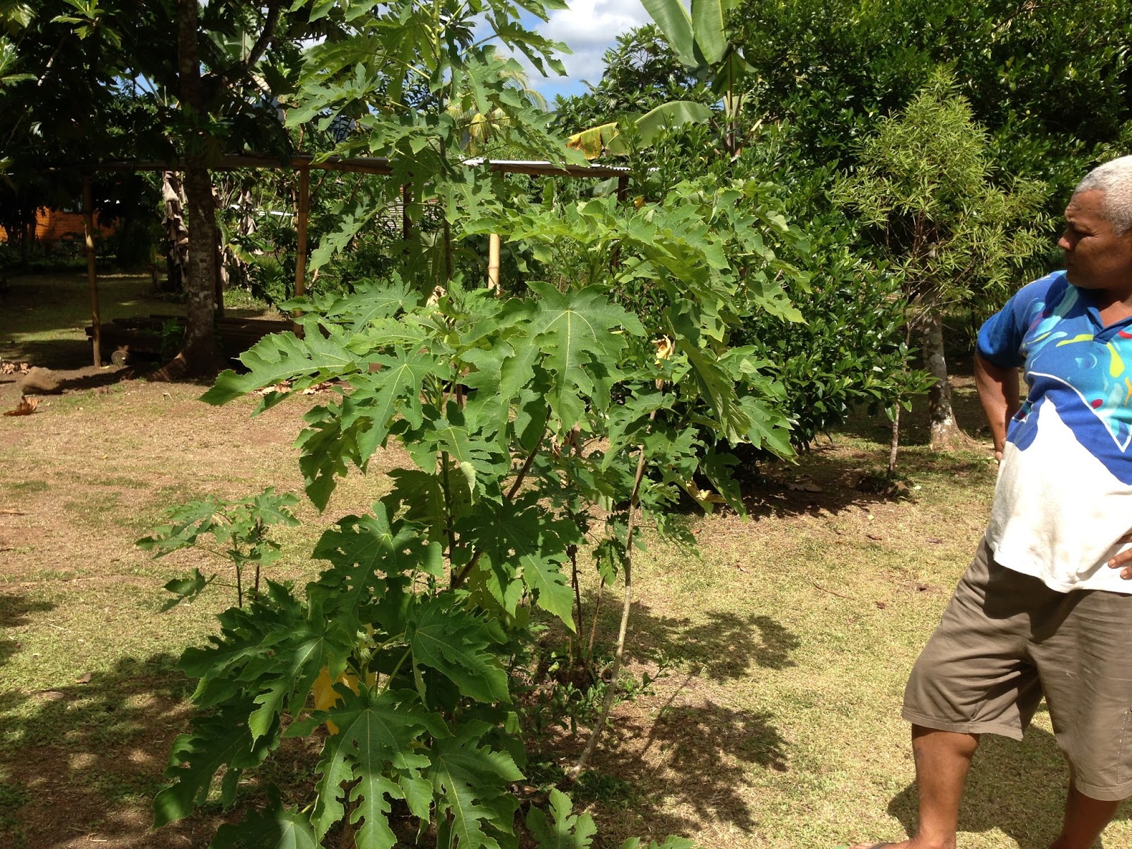 Elder and Sister Roberts Suva Fiji Mission Tapa (Fijian paper) and