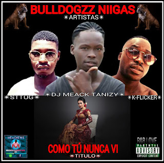 Bulldogzz Niigas - Como tu nunca vi_[DOWNLOAD]