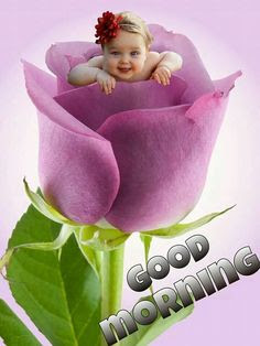Good Morning Good Morning