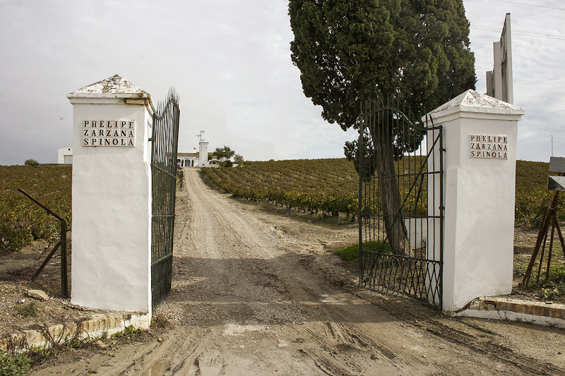 Portada de acceso a los viñedos de Ximénez-Spínola