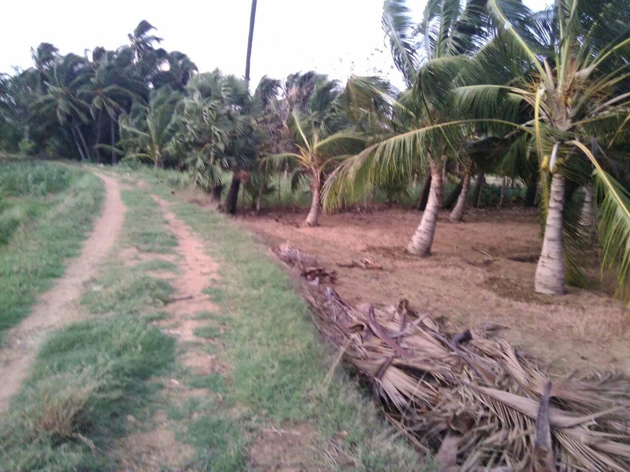 agricultural land for sale rural properties for sale acres for sale