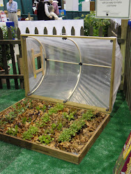 greenhouse mini easy garden projects roof bitsy spiders itsy open diy simple raised pallet bed project backyard beds winter build