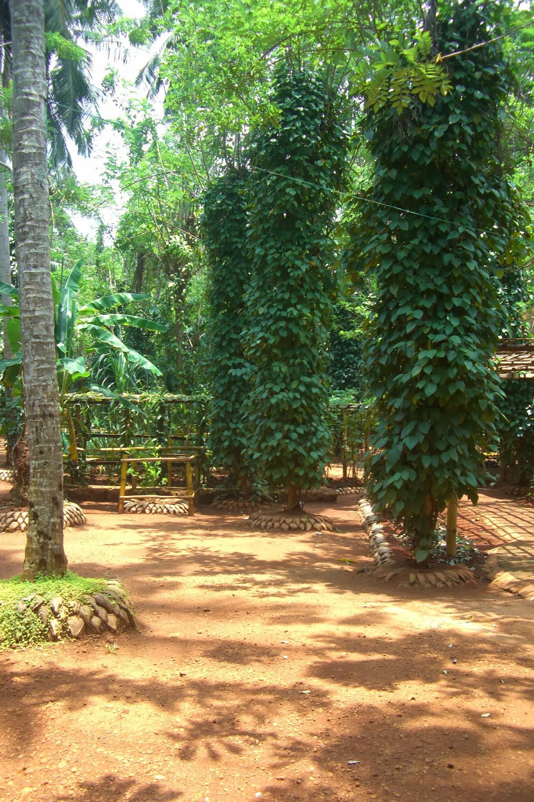 Globtrotting News, Stories, & Thoughts