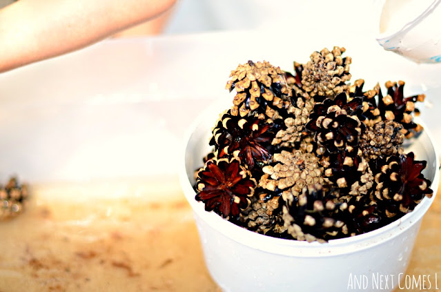 Pinecones in a water sensory bin for toddlers and preschoolers