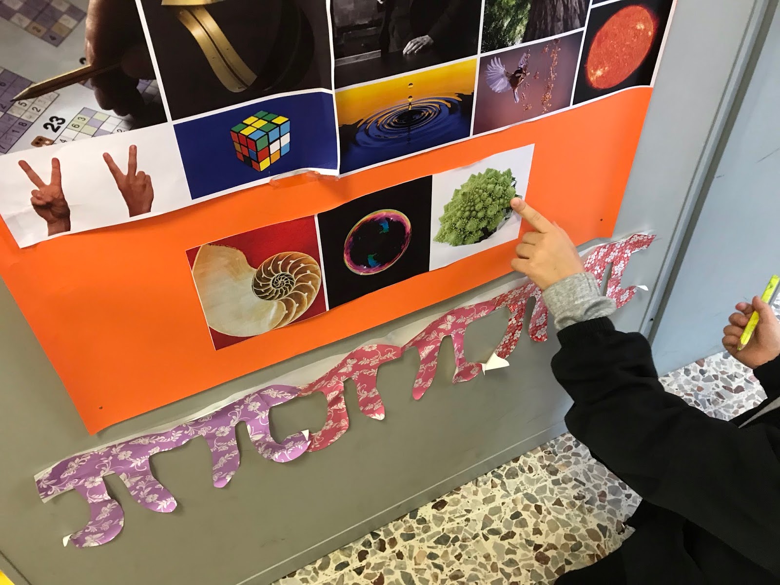 Il Fibonacci Day e la spirale "magica"!