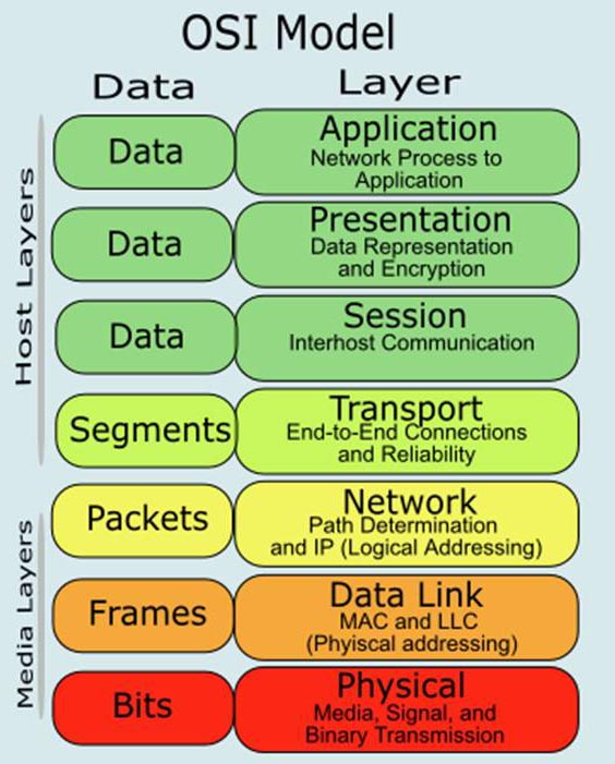 Pengertian dan Fungsi 7 OSI Layer Berbagilah Selagi Bisa