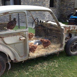 garden upcycled salvaged recycled volume materials using coop chicken