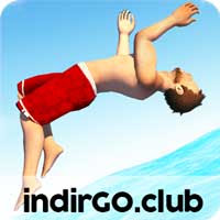 flip diving apk