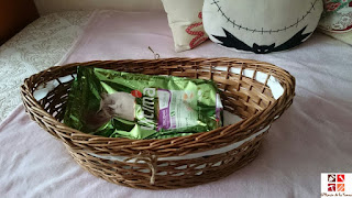 cesta para mascota cesta para mascota