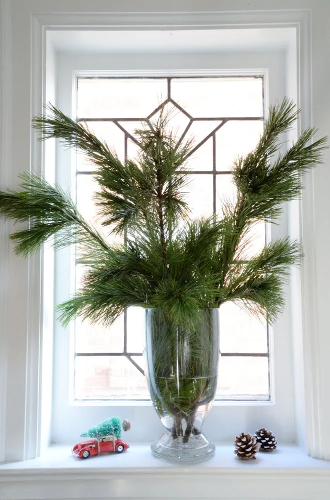 pine branches in a vase