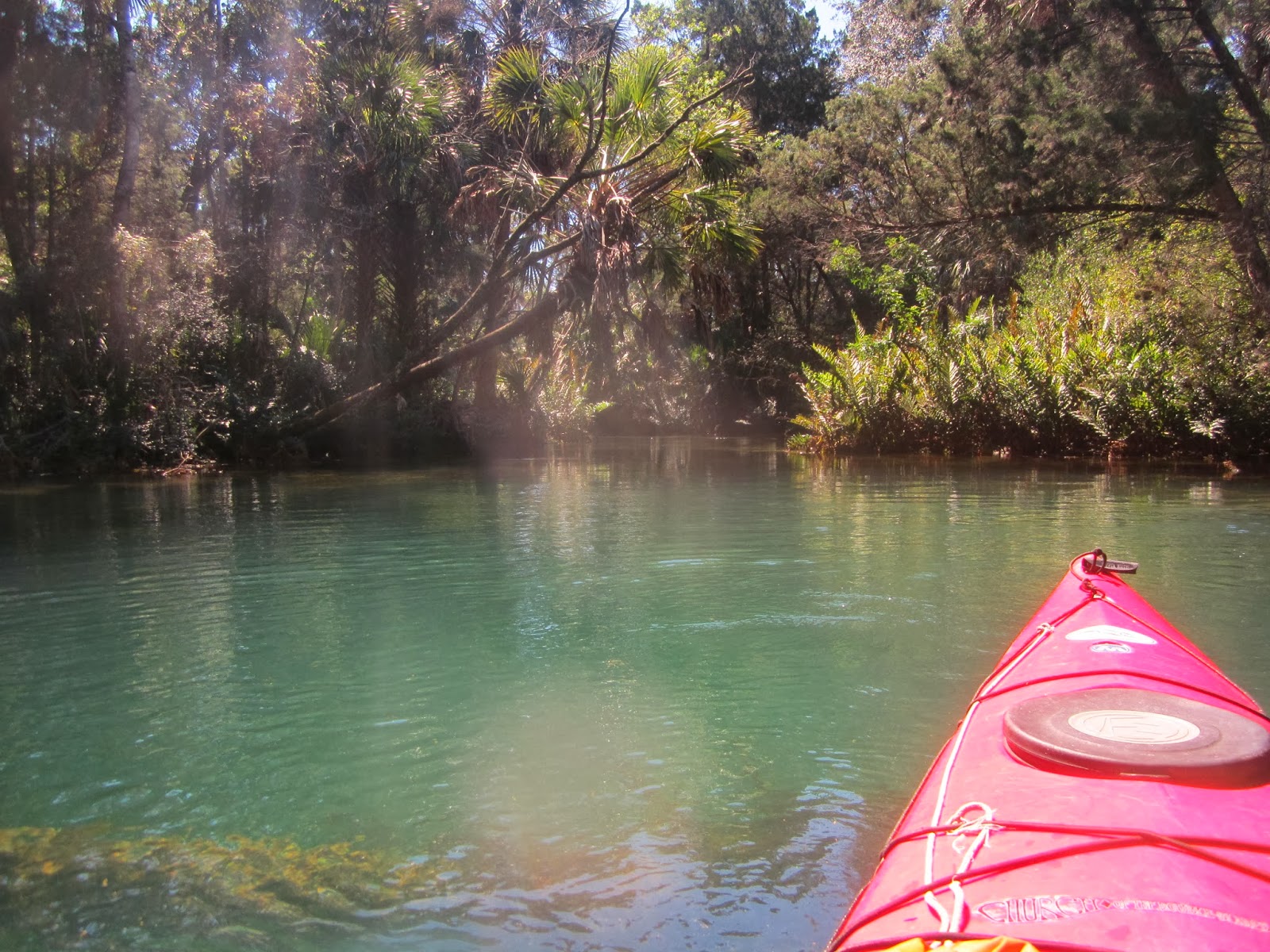 Dave's Yak Tales Weeki Wachee, Mud River, and Salt Spring