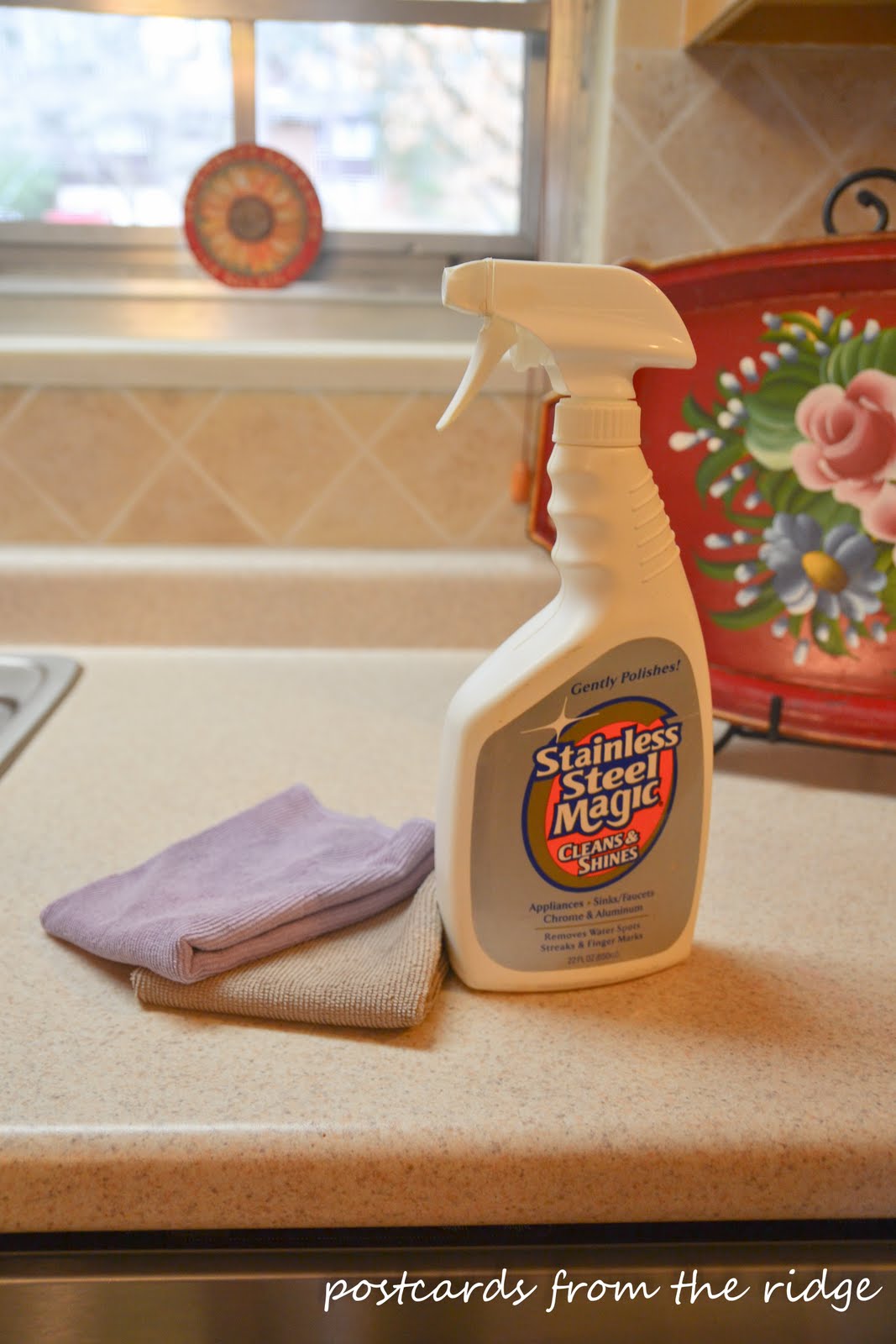 How To Clean Stainless Steel Appliances Postcards From The Ridge how-to-clean-stainless-steel-appliances-postcards-from-the-ridge