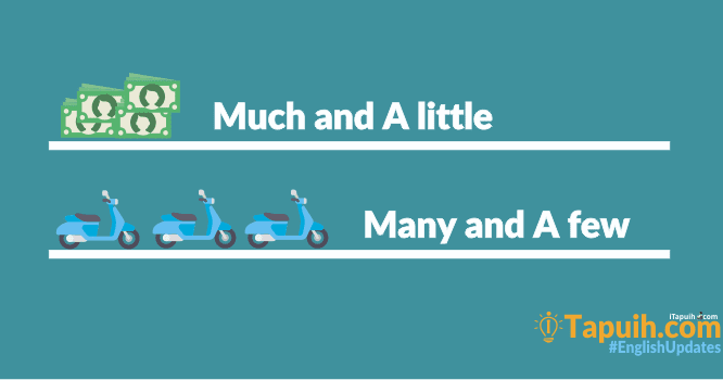 Perbedaan Much, Many  A little, A few Beserta Contoh Soal  Buku
