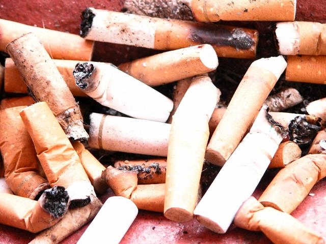 Kumpulan Artikel Manfaat  Puntung Rokok 