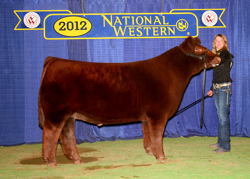 Lautner Farms Updated Pictures 1st and 2nd Place Class Winners NWSS