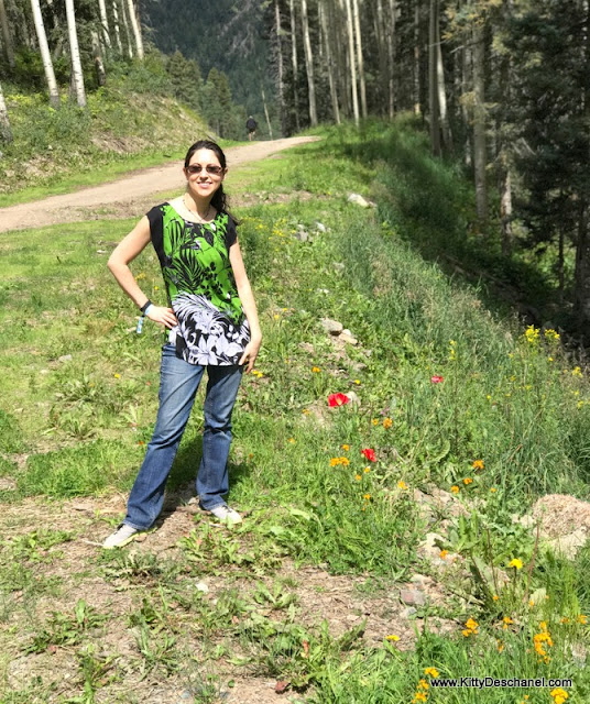 color coordinate_chameleon