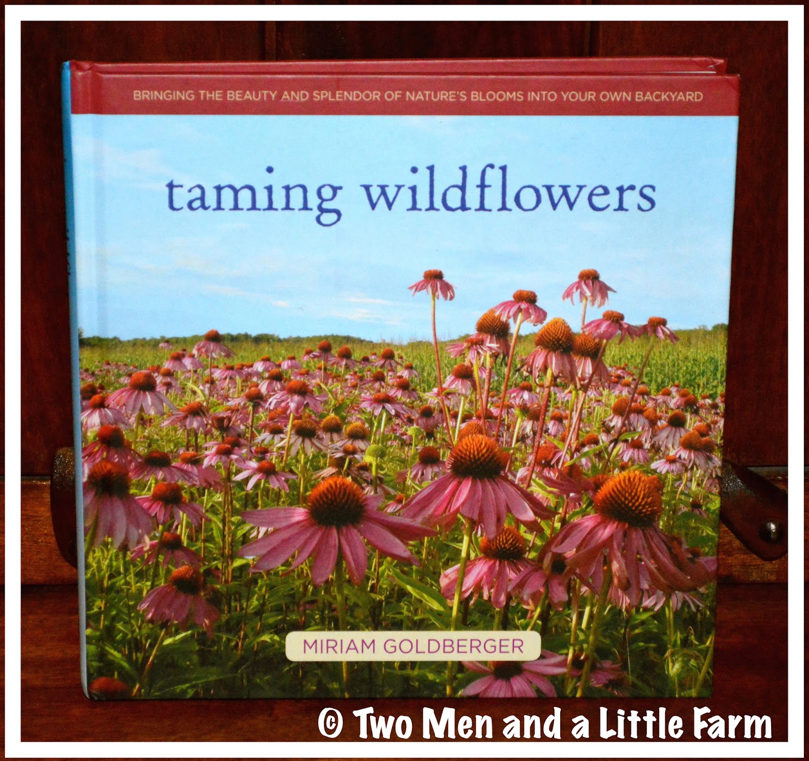 Two Men and a Little Farm TAMING WILDFLOWERS BOOK REVIEW