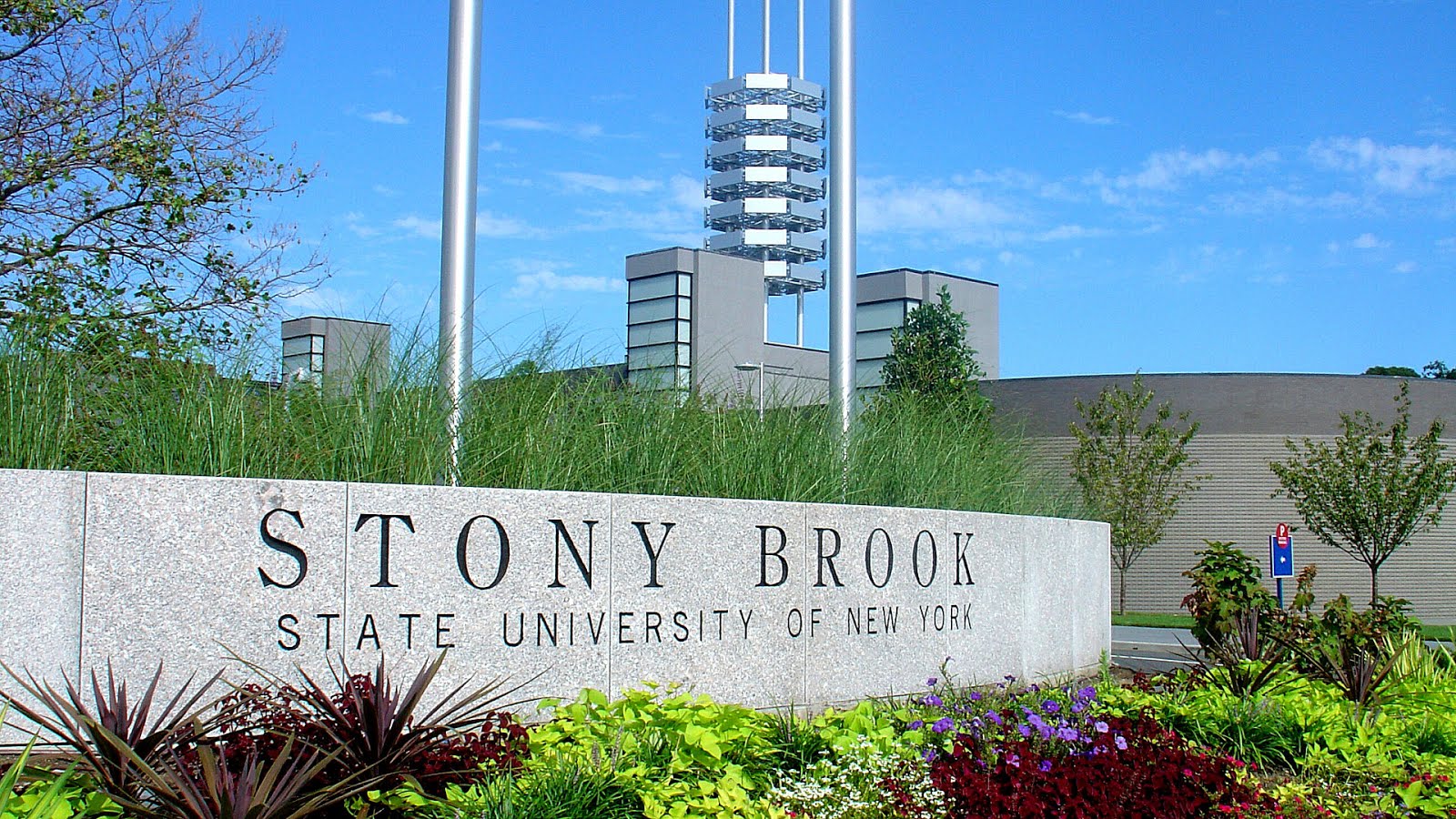 Best Psychology Schools In New York School Choices