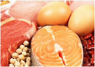 Protein eating regimen - What Does It suggest for your frame?
