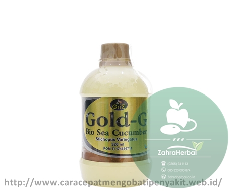 Obat Miom Yang Ampuh Obat Miom Yang Ampuh