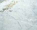Plastic Shrinkage Cracking in Concrete Plastic Shrinkage Cracking in Concrete