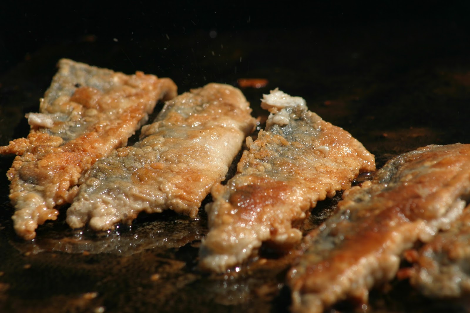 Irwin for MLA Mackerel Snappers Picnic