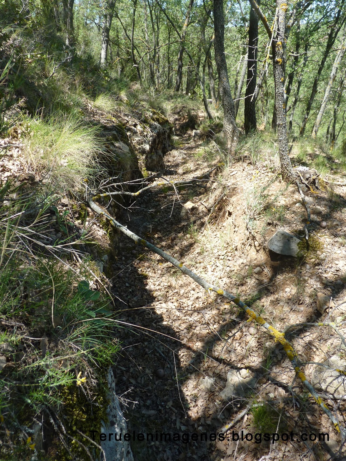 Teruel en Imagenes: Trincheras sector de la Fonseca