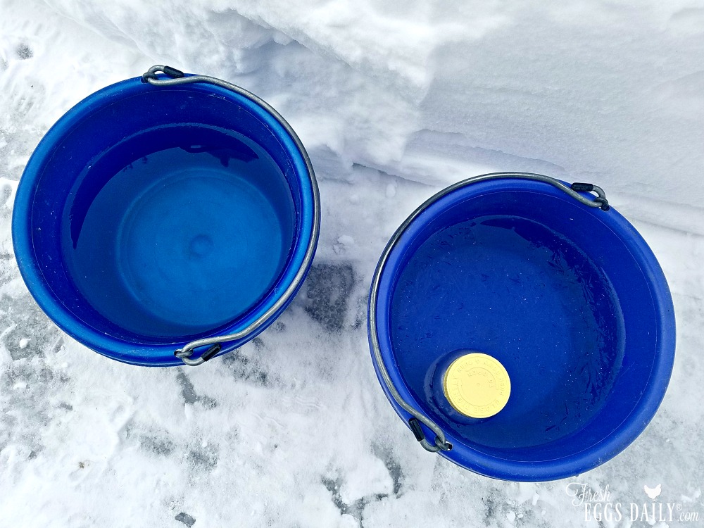 Will Salt Water Keep Water from Freezing? Fresh Eggs Daily® with Lisa