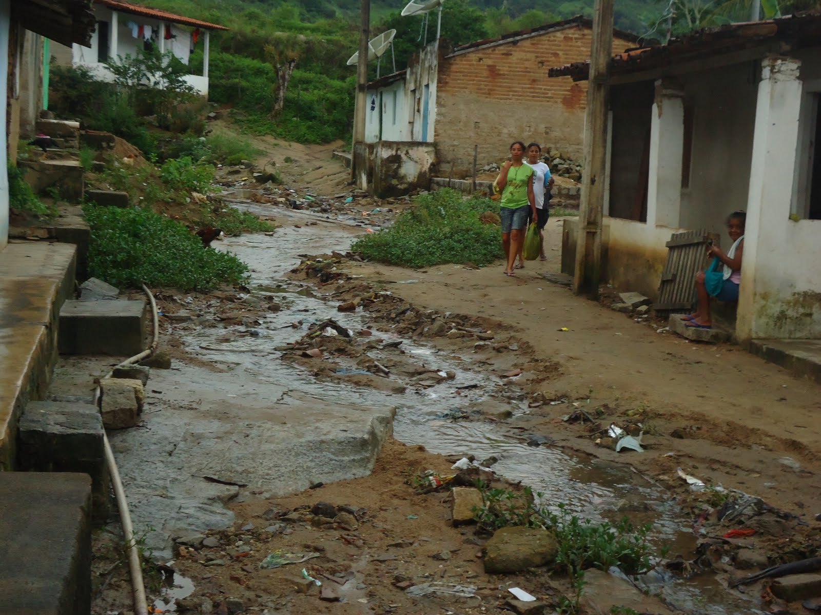 MATA VERDE RAINHA DOS POVOADOS SOS MATA VERDE