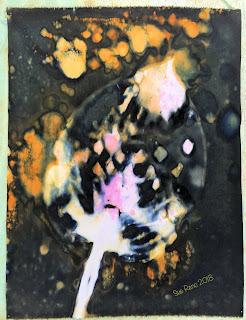 Wet cyanotype_Sue Reno_Image 331
