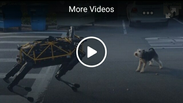 Facebook Videos Facebook Videos