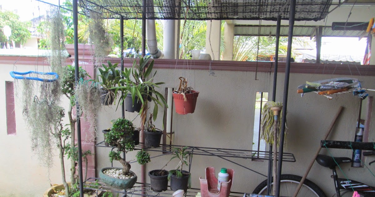 38 Rak Bunga Depan Rumah Konsep Terbaru