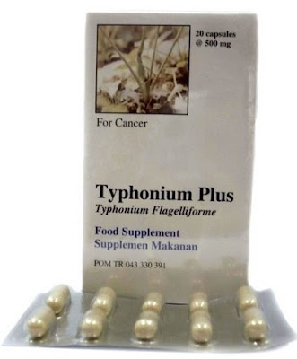 Harga Typhonium Plus Terbaru 2017 Obat Kanker