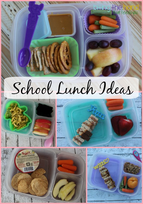 Biting The Hand That Feeds You: Kid-Friendly School Lunch Ideas!
