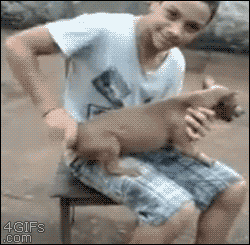 7.gif