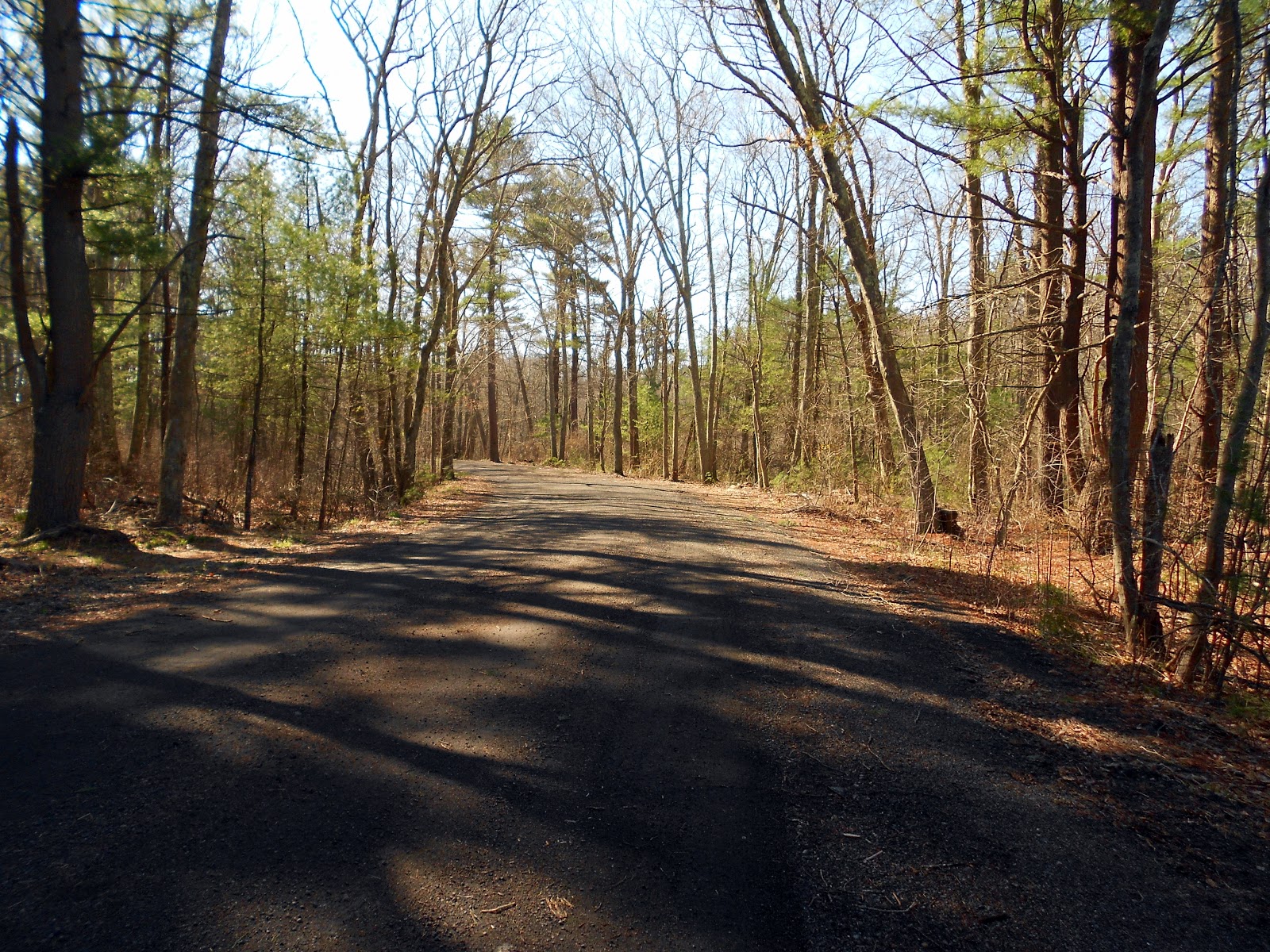 Breakheart Trail Running Bay Circuit Trail Hike Report Reynolds