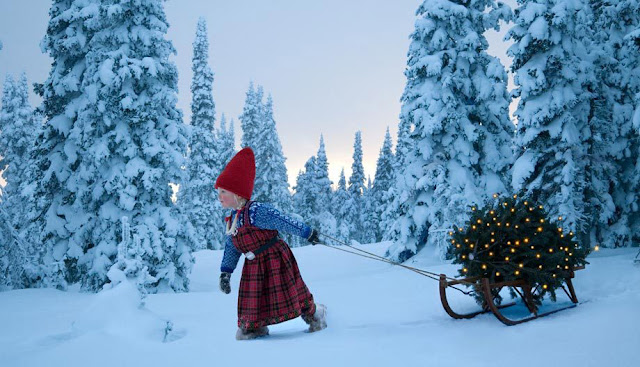 Winter Magic photos by Per Breiehagen