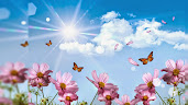 #9 Delightful Flowers Wallpaper Desktop Background Full Screen